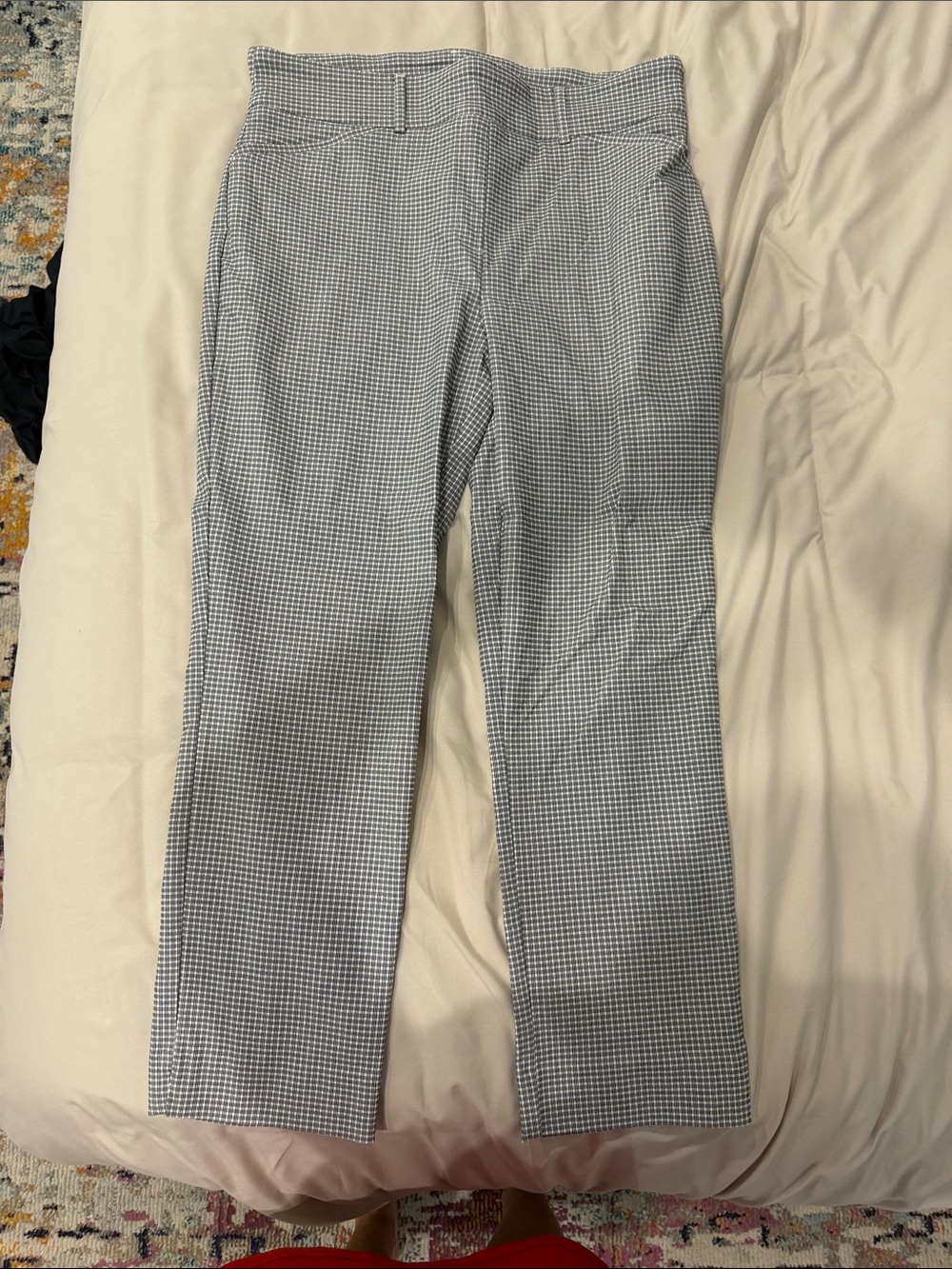 Hilary Radley Blue & White Gingham Chinos